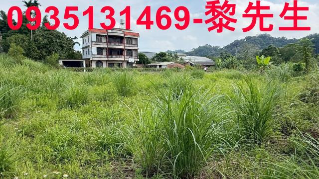新竹農地-6