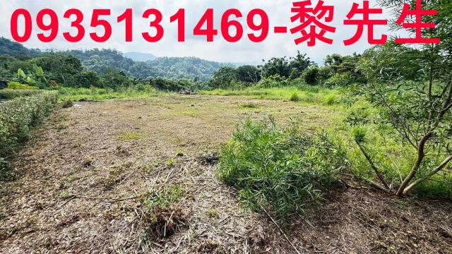 新竹農地-11
