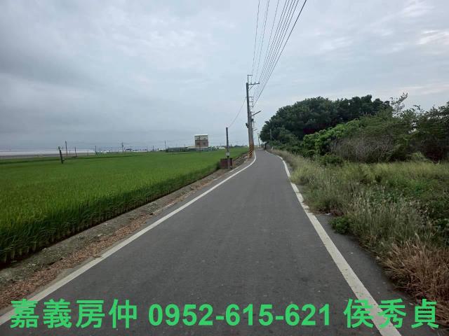 民雄農地-12