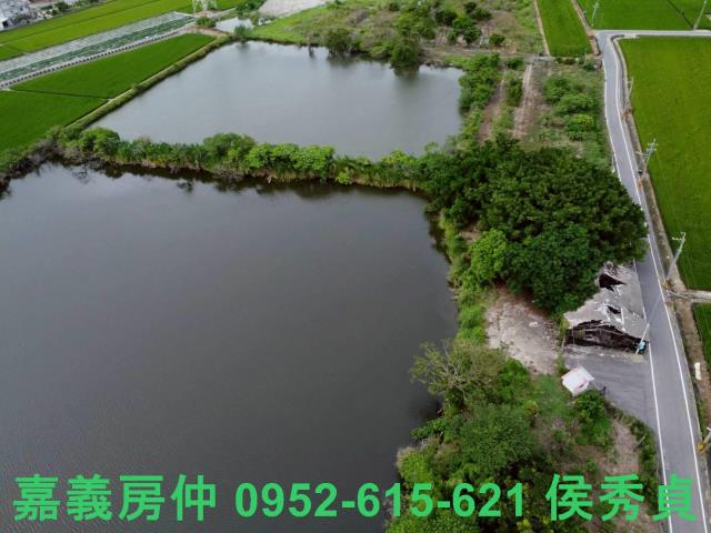 民雄農地-7