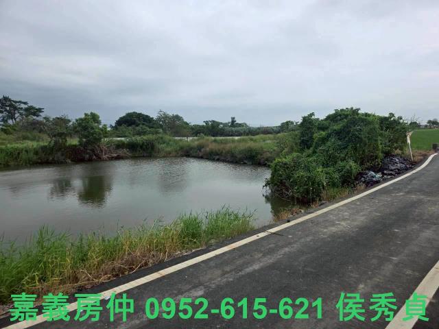 民雄農地-9
