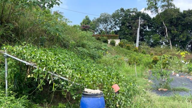 寶山農地-11