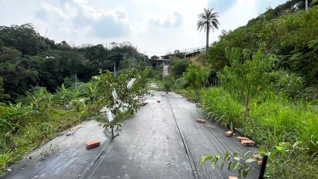 寶山農地-14