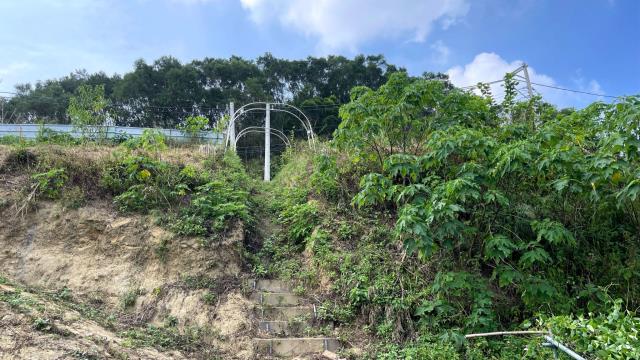 寶山農地-15