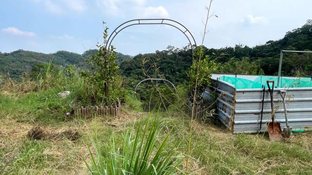 寶山農地-4