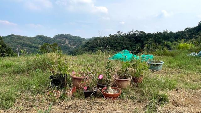 寶山農地-6