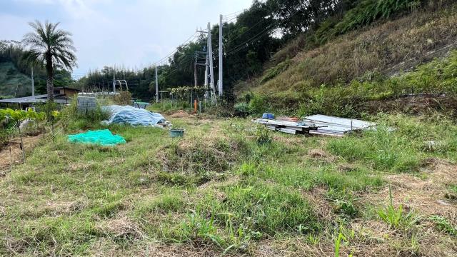寶山農地-8