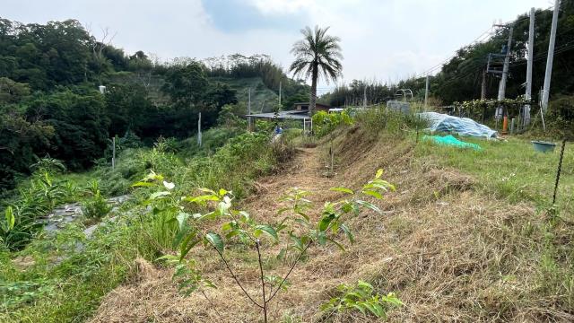 寶山農地-9