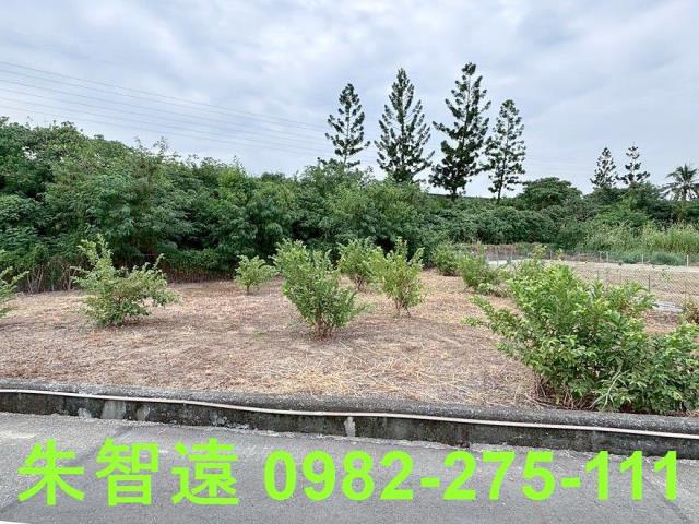 新化農地-3