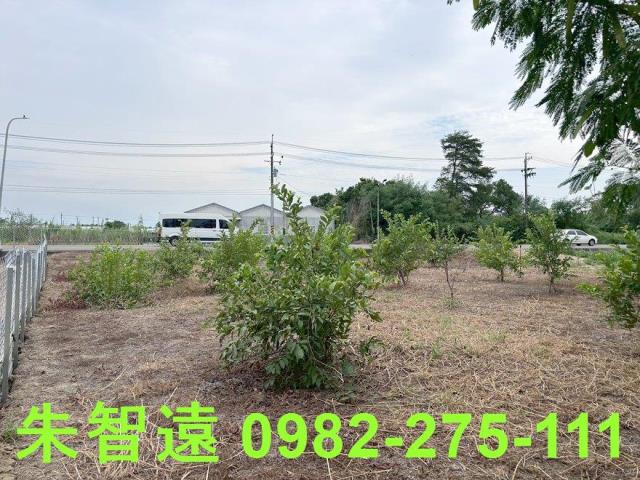 新化農地-7