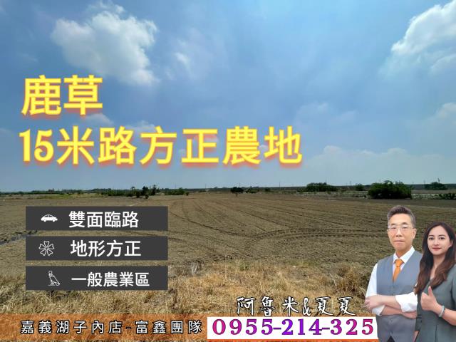 鹿草農地-1