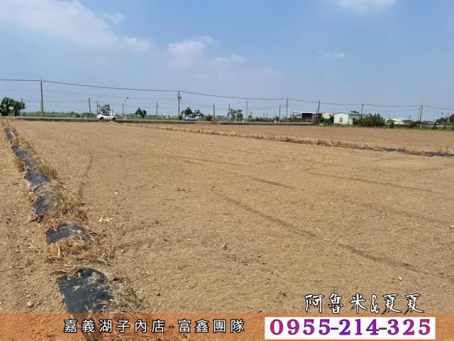 鹿草農地-7