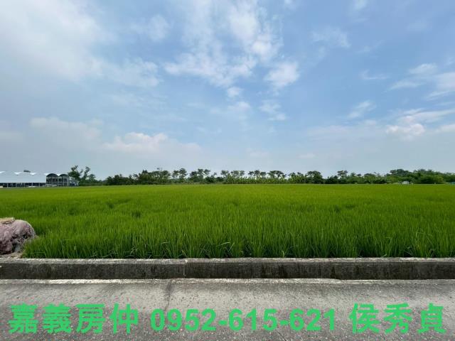 太保農地-4