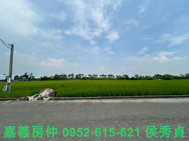 太保農地-5