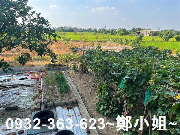 桃園農地-3