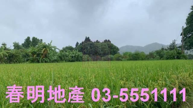 新竹農地-2