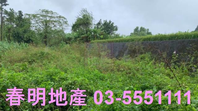 新竹農地-4