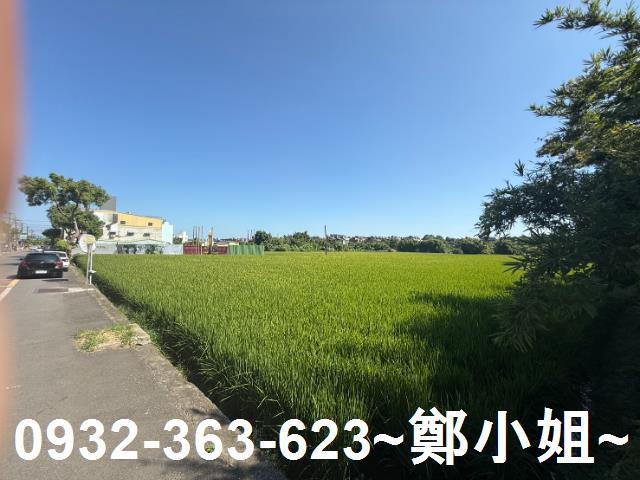 八德農地-8