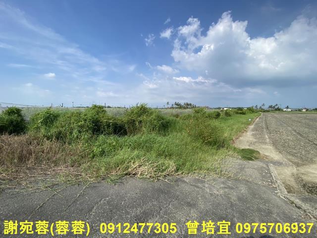 路竹農地-1