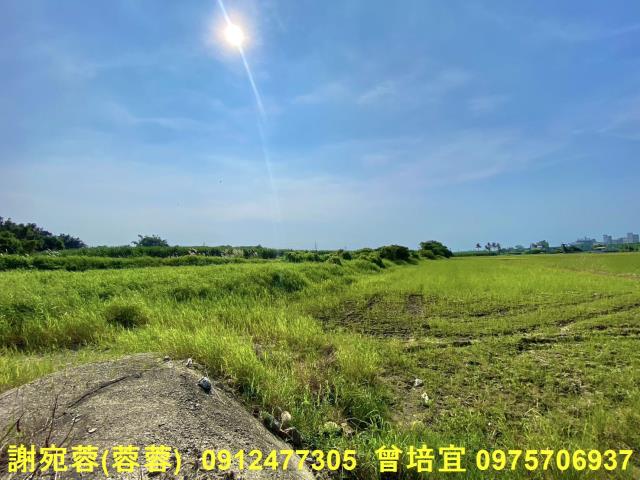 路竹農地-3