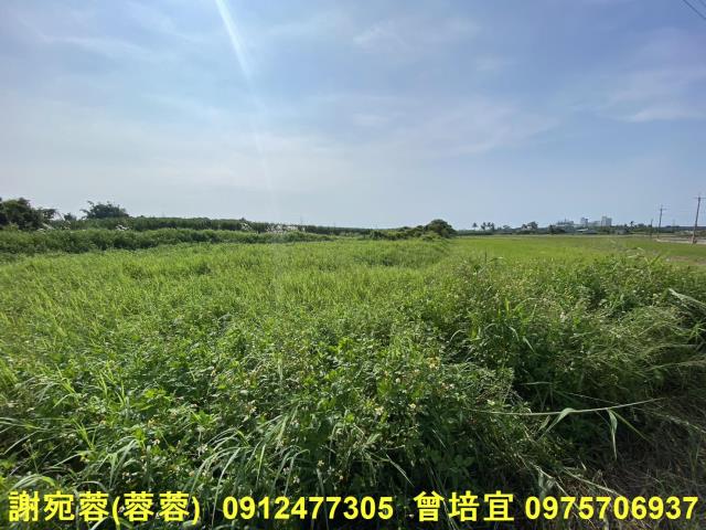 路竹農地-4