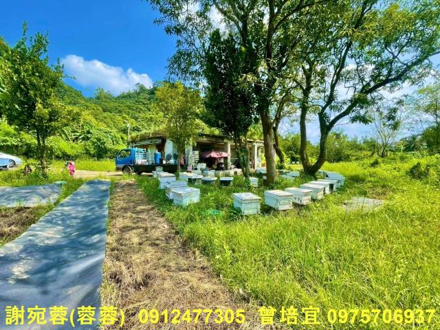 旗山農地-4