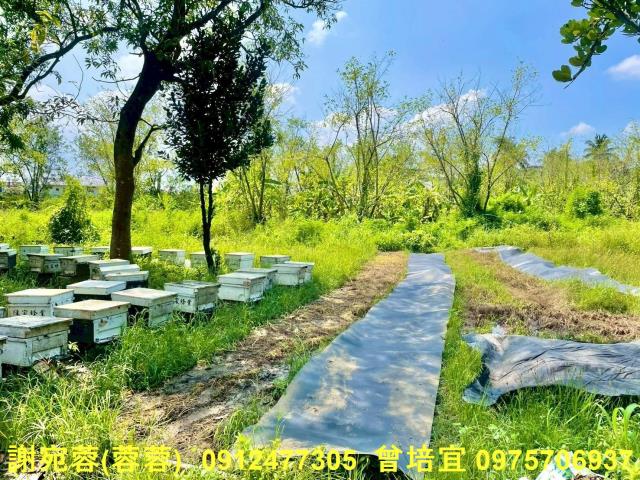 旗山農地-6