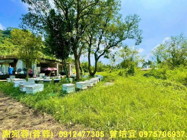 旗山農地-7