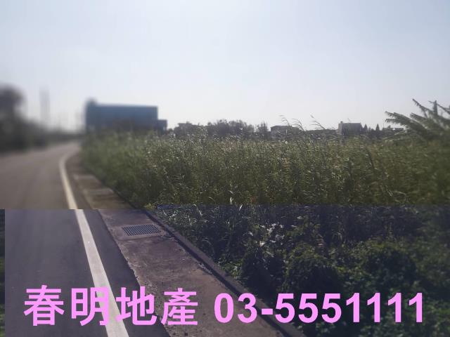 新豐農地-3