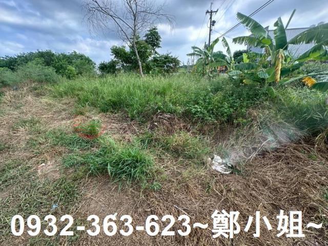 蘆竹農地-11
