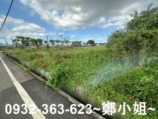 蘆竹農地-2