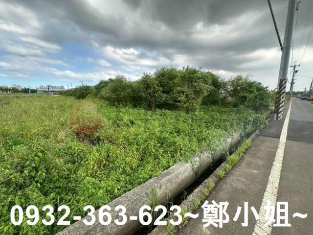 蘆竹農地-3