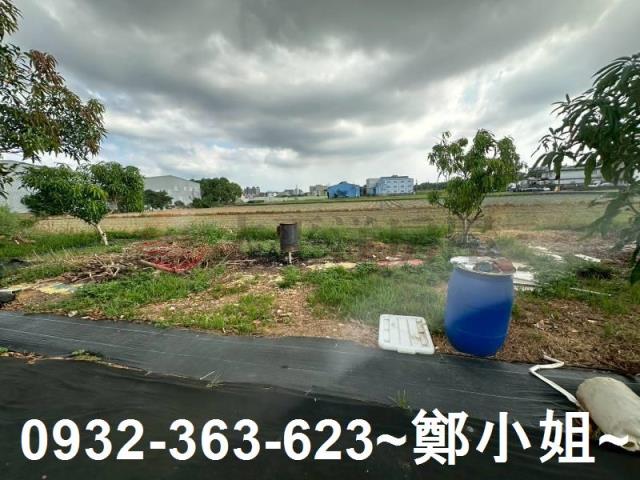蘆竹農地-4
