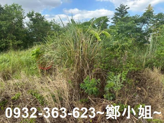 蘆竹農地-7