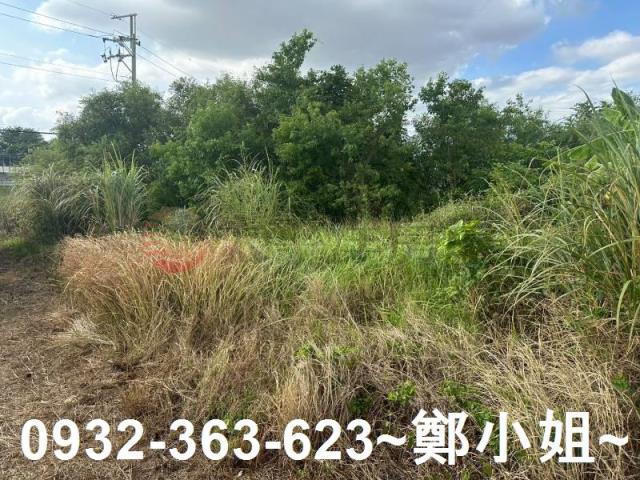 蘆竹農地-8