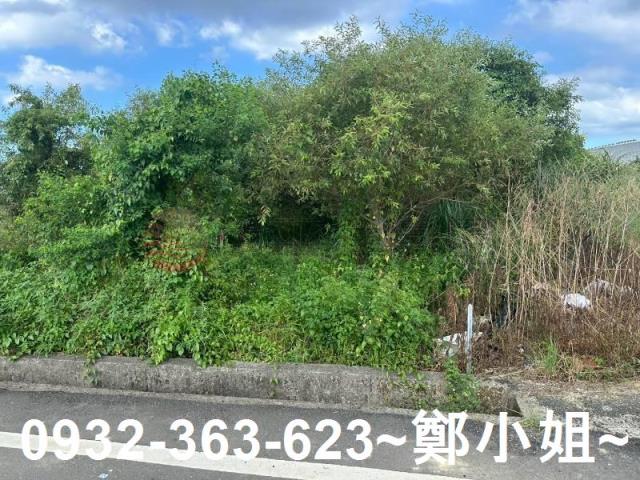 蘆竹農地-9