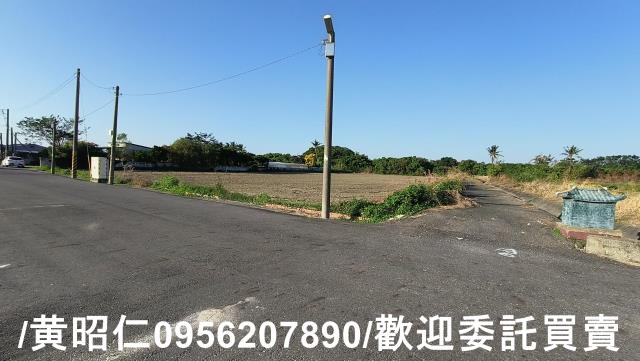 佳里農地-12
