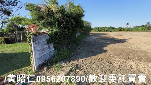 佳里農地-13