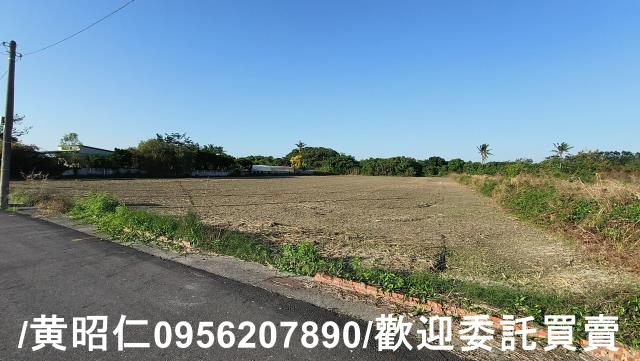 佳里農地-9