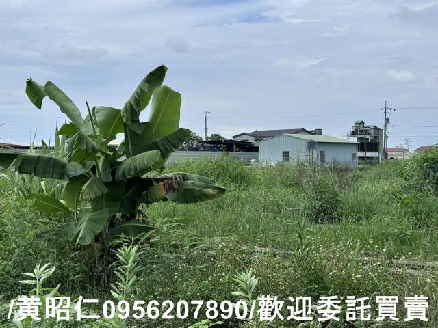 永康農地-10