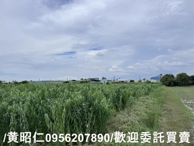 永康農地-6