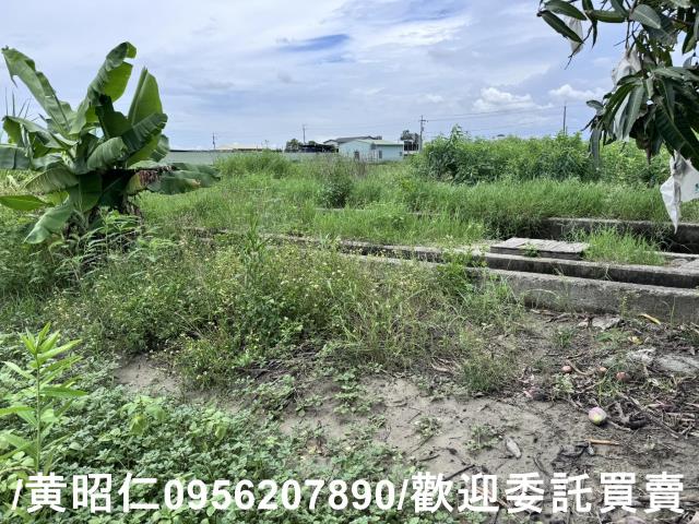 永康農地-9