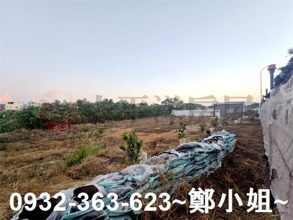 桃園農地-11