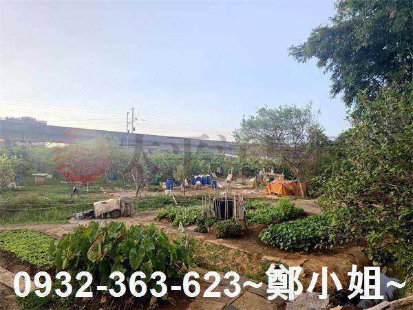 桃園農地-5