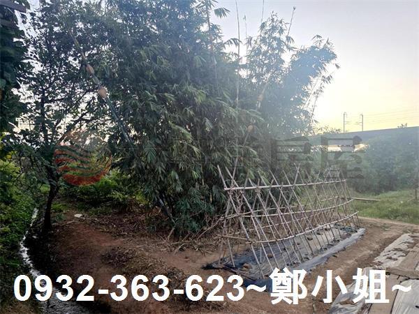 桃園農地-6
