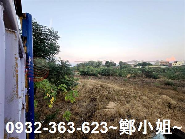桃園農地-9