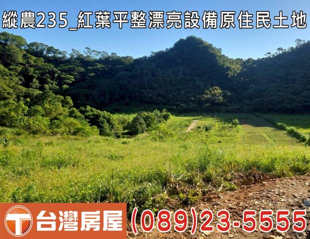 延平農地-5