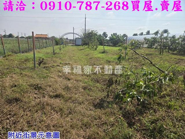 台南農地-5