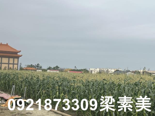台南農地-6