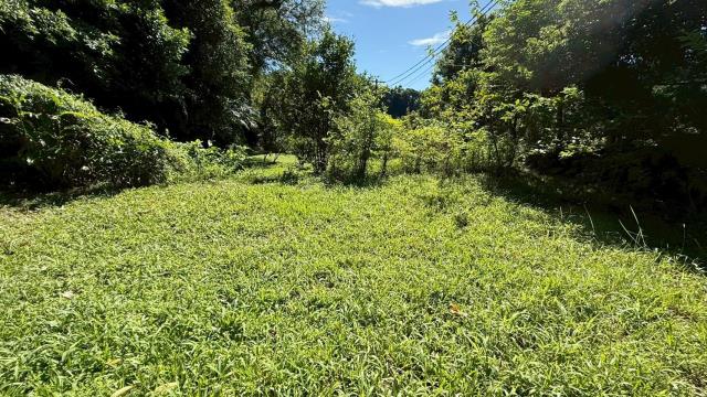 新竹關西農地-6